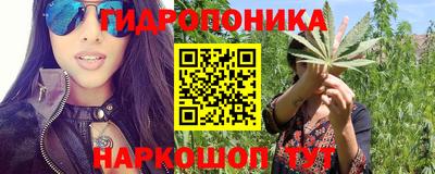 сатива Тверь