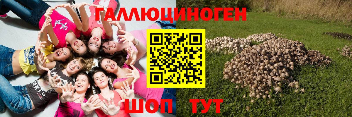 Галлюциногенные грибы Magic Shrooms  Галлюциногенные грибы Psilocybine cubensis  Вход с VPN  Новозыбков 