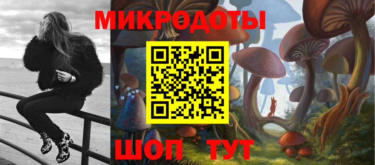 Псилоцибиновые грибы GOLDEN TEACHER Новозыбков